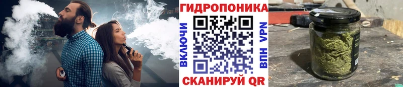 Купить  Сельцо  Конопля Bruce Banner 